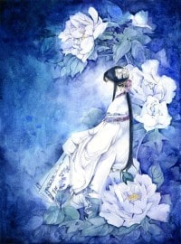 赘婿沈默苏婉瑜