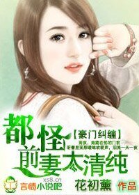 豪门纠缠:都怪前妻太清纯