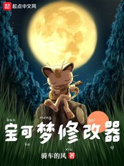(精靈寶可夢同人)寶可夢修改器